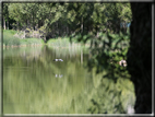 foto Lago di Terlago